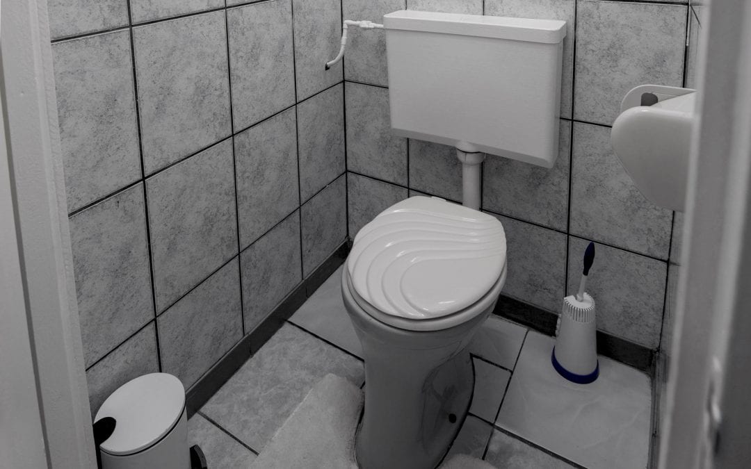 Vakantiehuis Suriname Toilet