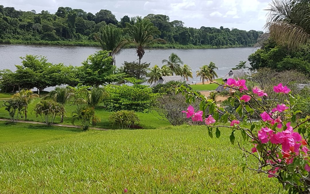 vakantie suriname babunhol