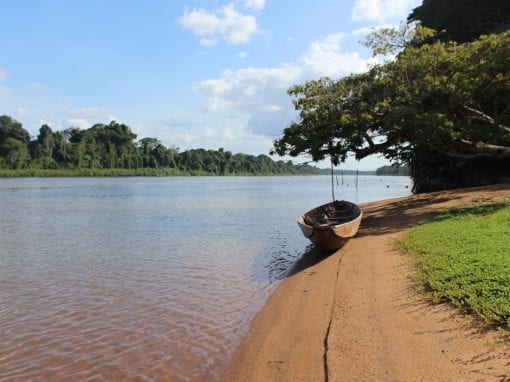 vakantie suriname overbridge