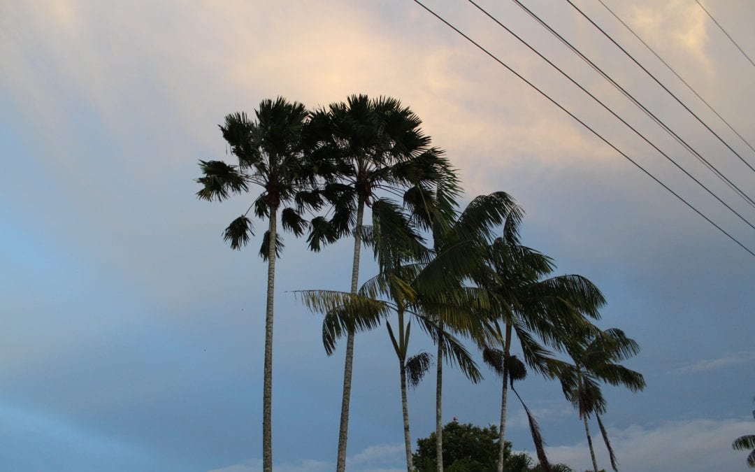 vakantie suriname sunset