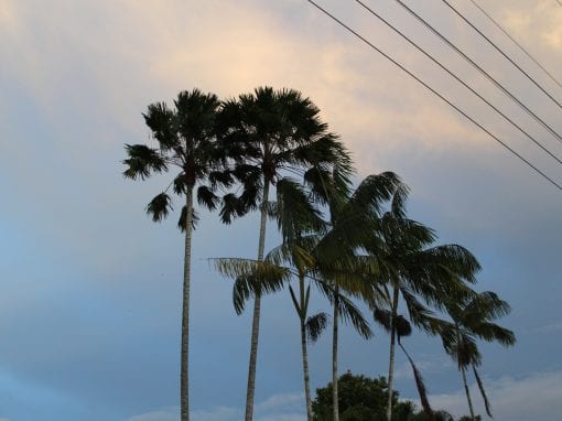 vakantie suriname sunset