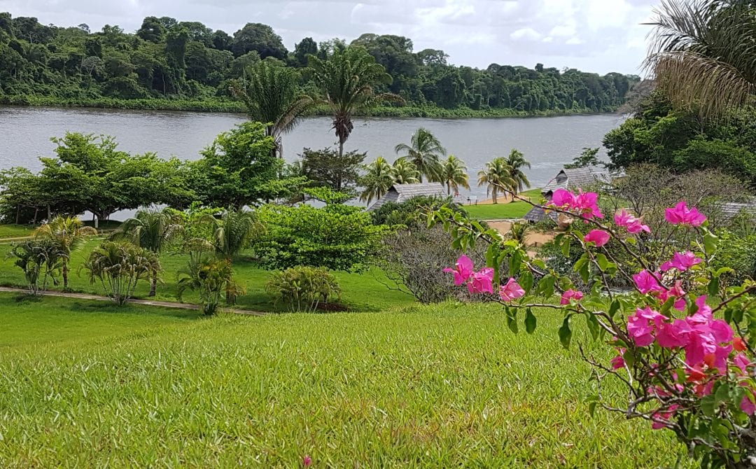 huren in paramaribo babunhol